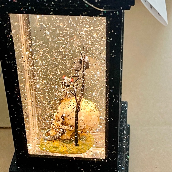NWT Halloween lantern snow globe, lights up swirls snow, snake in skull, spooky! - Picture 4 of 8